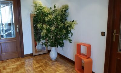 Yamaguchi – Apartamentu osoa aldi baterako alokairua uztailean